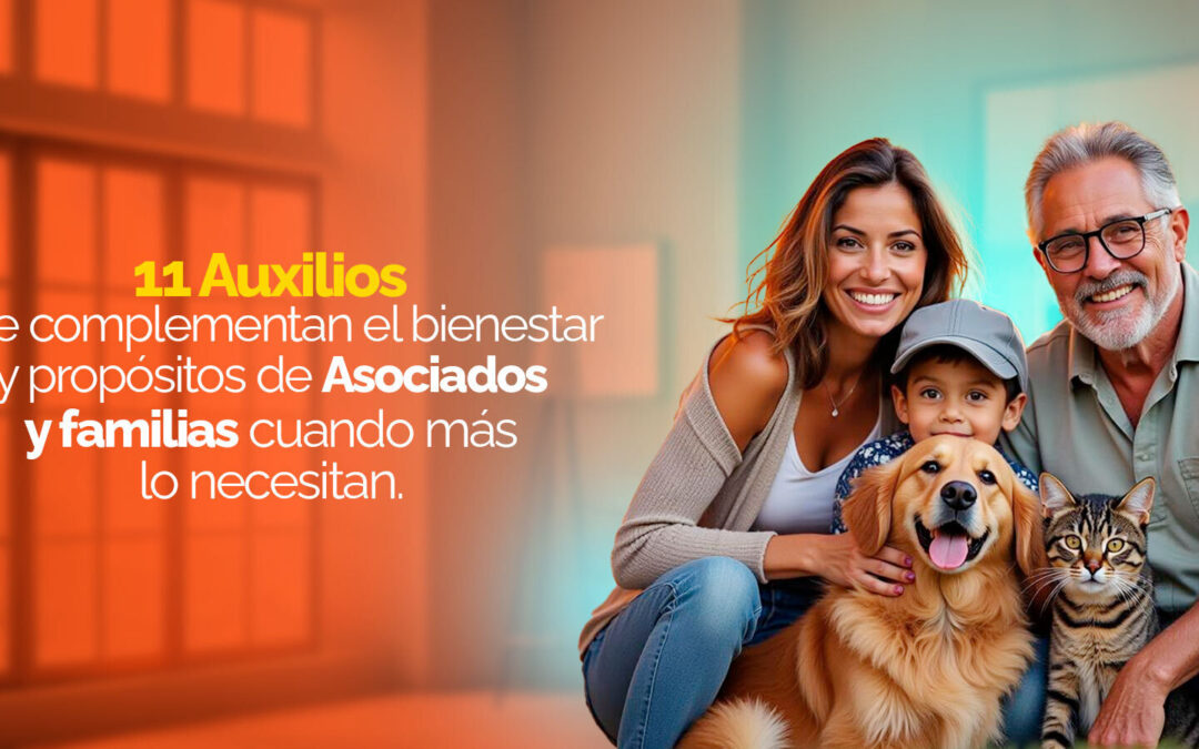 AUXILIO MASCOTAS