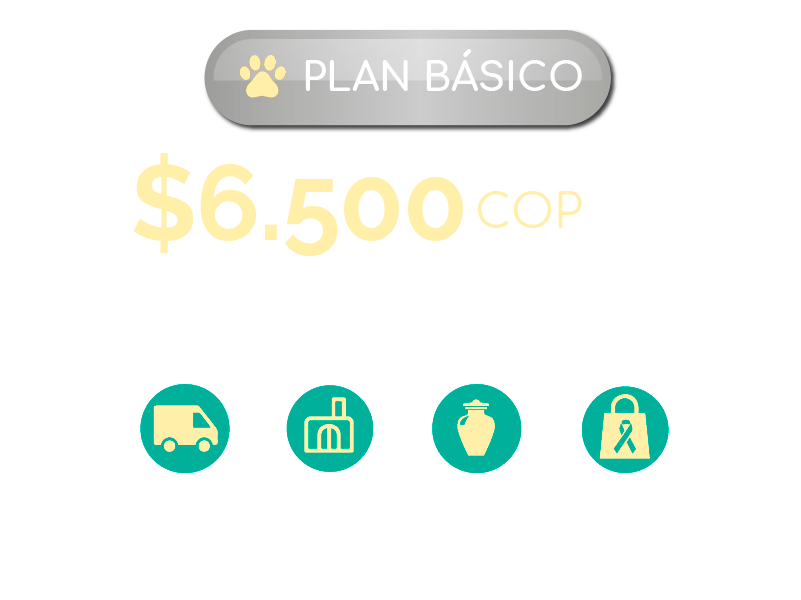 plan-basico_2025