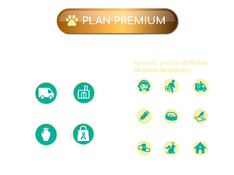 plan-premium_2025